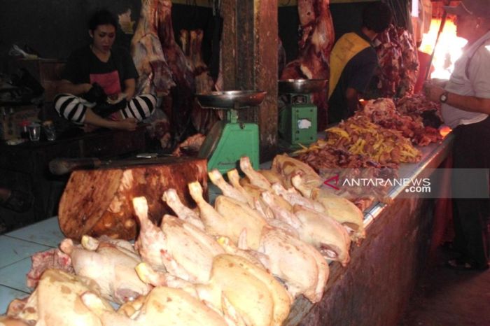 Harga ayam potong di Curup Bengkulu kembali turun - ANTARA News Bengkulu Harga ayam potong di Curup Bengkulu kembali turun - ANTARA News Bengkulu