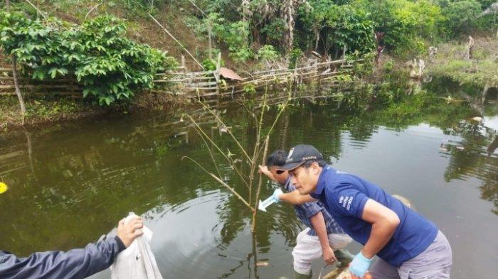 Berawal dari Beban Pakan Ternak Membengkak, Pria Ini Sukses Budi Daya ... Berawal dari Beban Pakan Ternak Membengkak, Pria Ini Sukses Budi Daya ...