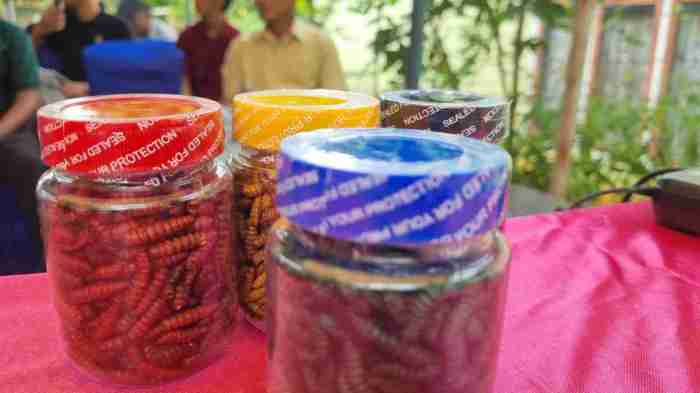 Kolam Ikan di 7 Desa Kecamatan Tanjung Agung Palik Diterjang Banjir ...