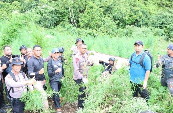 Ternak jangkrik di Kuta Cot Glie, Aceh Besar