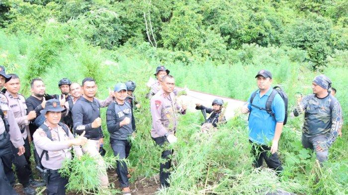 Pj Bupati Aceh Besar Panen Cabai Bersama Petani Kuta Cot Glie - Aceh ... Ternak jangkrik di Kuta Cot Glie, Aceh Besar