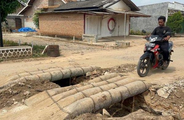 Ayam arab di Metro Kibang, Lampung Timur