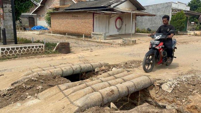 Harga Ayam Potong di Pasar Way Kandis Bandar Lampung Naik ... Ayam arab di Metro Kibang, Lampung Timur
