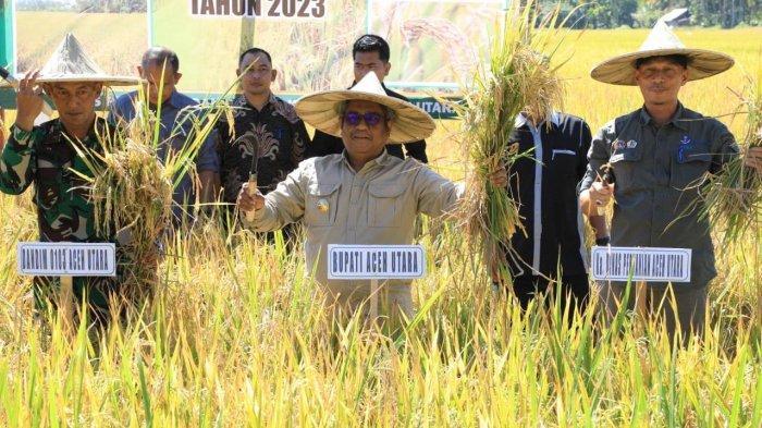 Ternak jangkrik di Paya Bakong Aceh Utara