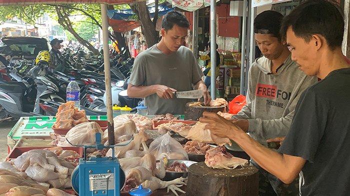 Jelang Ramadhan Harga Daging Ayam di Bandar Lampung Melonjak Ayam arab di Panjang, Kota Bandar Lampung