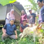 Ternak jangkrik di Sukajaya, Kota Sabang