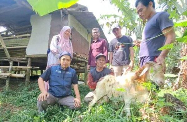 Ternak jangkrik di Sukajaya, Kota Sabang