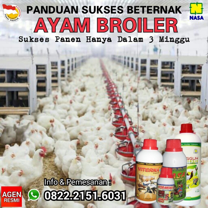 Mitra Tani Budidaya Indonesia: TEKNIS DAHSYAT BUDIDAYA AYAM BROILER 3 ... Mitra Tani Budidaya Indonesia: TEKNIS DAHSYAT BUDIDAYA AYAM BROILER 3 ...