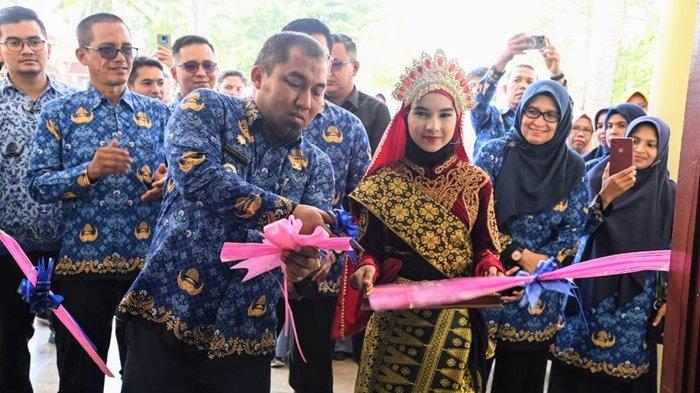 Harga Telur Ayam Arab Sekarang: Doc Ayam Arab Jantan Ayam arab di Kota Jantho Aceh Besar