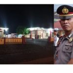 Ayam Arab Petelur dan Pedaging