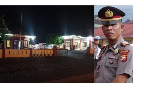 Ayam Arab Petelur dan Pedaging