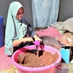 Ayam Sabong Malaya: 2012 Jan 2