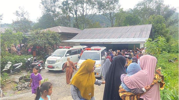 Usaha Ternak Jangkrik, Usaha Ternak yang Mudah dan Menjanjikan