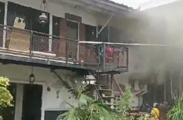 Ayam arab di Way Halim, Kota Bandar Lampung