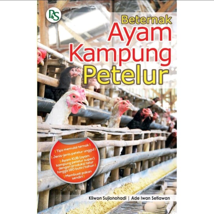 Peternakan ayam kampung di Jiken, Blora