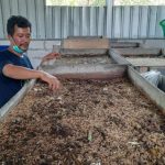 INSPIRATIF, Menengok Pengolahan Sampah Organik Lewat Budidaya Maggot di ...