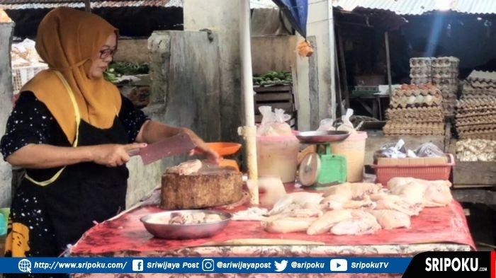 Ayam arab di Wonosobo, Tanggamus