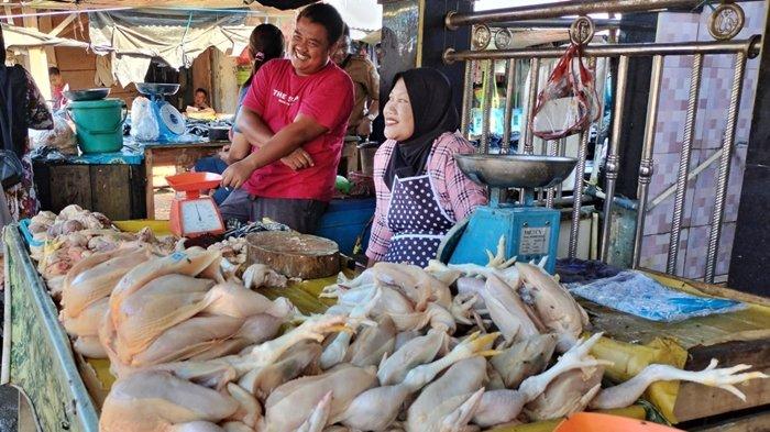 Daftar Jenis Ayam Buras Di Indonesia | Info Daging Ayam | Peralatan ...