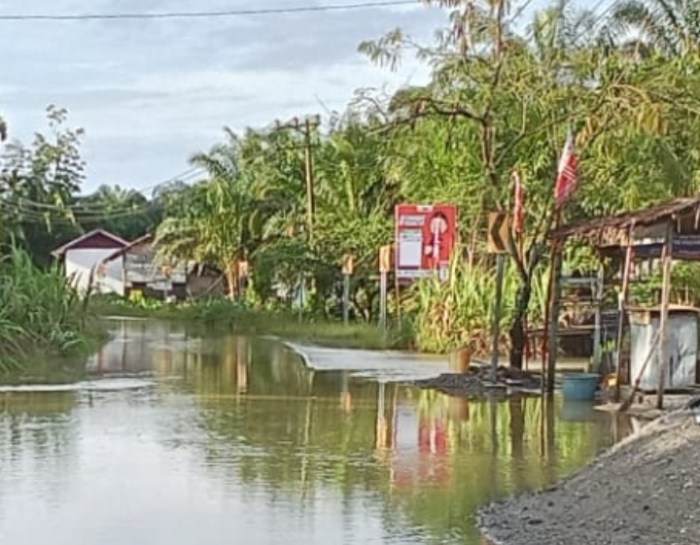 Banjir Kepung 4 Gampong di Nagan Raya - Sumber : Waspadaaceh.com ... Ternak jangkrik di Tripa Makmur, Nagan Raya