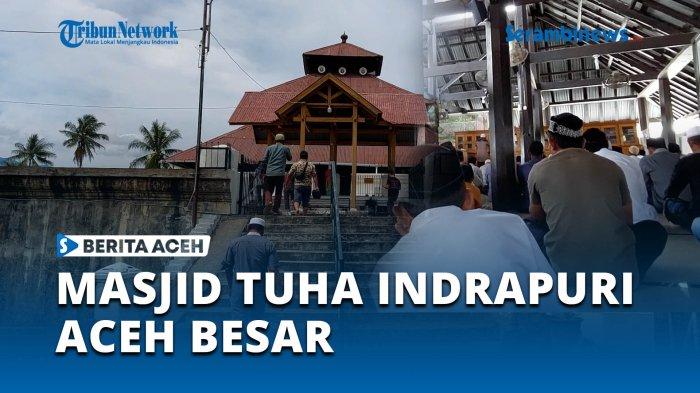 Jual Ayam Arab Usia Baru Saja Menetas dan Beberapa Informasi Mengenai ... Ayam arab di Indrapuri Aceh Besar
