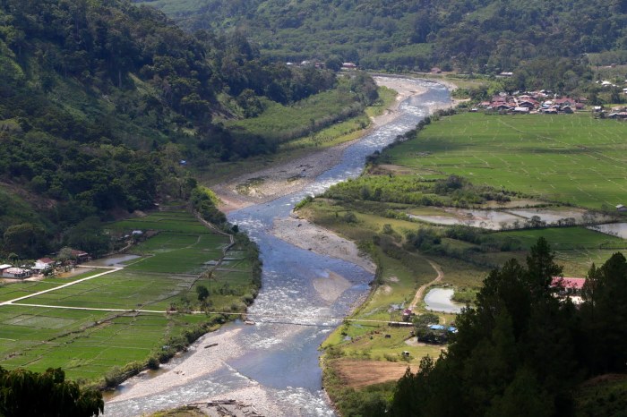 Ini 5 Cara Ternak Jangkrik untuk Pakan Burung, Pasti Untung! | PintarPet Ternak jangkrik di Blang Kejeren, Gayo Lues