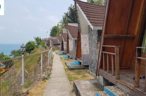 Ayam arab di Kalianda, Lampung Selatan