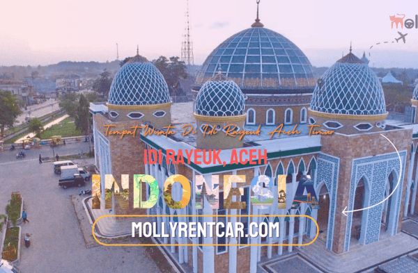 Cara Beternak Jangkrik Kalung: Januari 2014