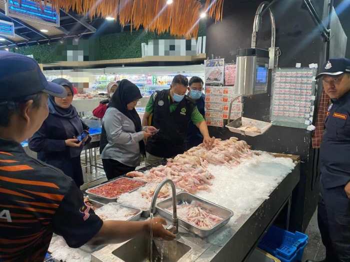 Ayam arab di Bermani Ulu Raya, Rejang Lebong