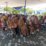 Harga Telur Ayam Arab Sekarang: Jual Bibit Ayam Arab Di Lampung