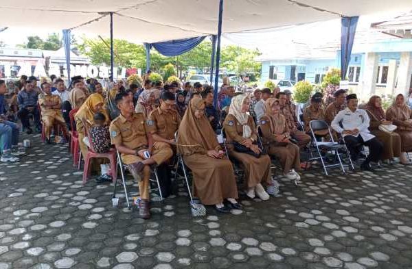 Harga Telur Ayam Arab Sekarang: Jual Bibit Ayam Arab Di Lampung