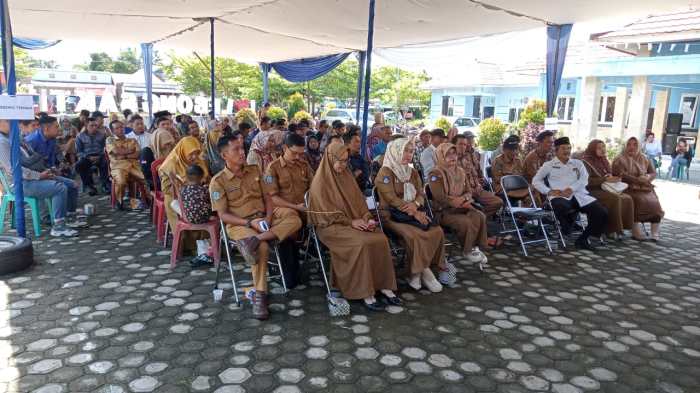 Harga Telur Ayam Arab Sekarang: Jual Bibit Ayam Arab Di Lampung Harga Telur Ayam Arab Sekarang: Jual Bibit Ayam Arab Di Lampung