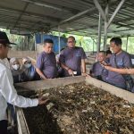 Melihat Budidaya Maggot untuk Pakan Ternak di Desa Wisata Sumberharjo ...