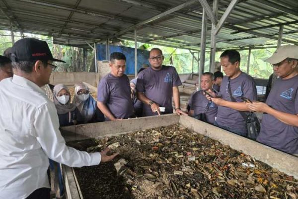 Melihat Budidaya Maggot untuk Pakan Ternak di Desa Wisata Sumberharjo ...