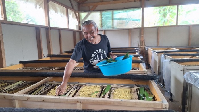 Ternak Jangkrik Haji Juju Raup Jutaan Rupiah - antaramediacentral.id Ternak Jangkrik Haji Juju Raup Jutaan Rupiah - antaramediacentral.id