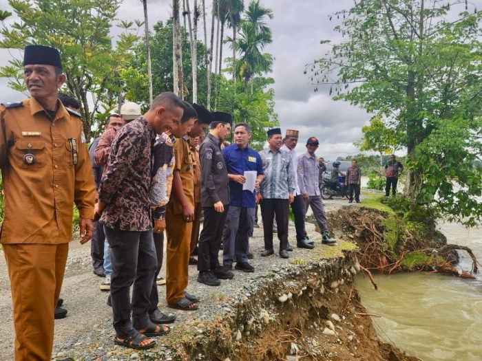7 Keunggulan Ayam Arab Yang Tak Kalah Dengan Ayam Lain
