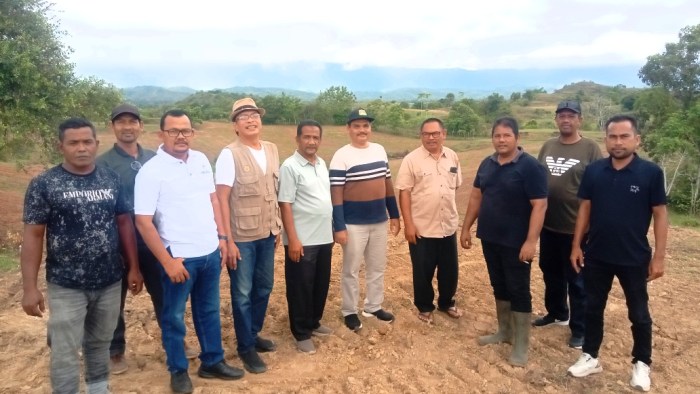 Ayam arab di Kuta Cot Glie Aceh Besar