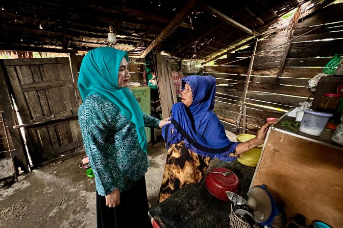 Jumlah Penduduk Miskin Di Aceh Turun, Kini Tersisa 704.000 Jiwa ... Ternak di Susoh Aceh Barat Daya