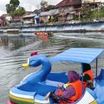 Ayam arab di Curup Utara, Rejang Lebong