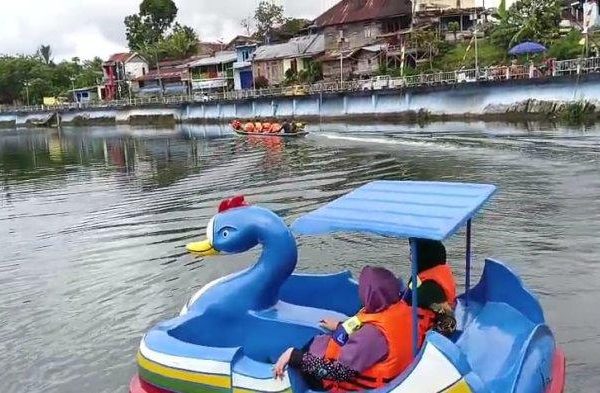 Ayam arab di Curup Utara, Rejang Lebong