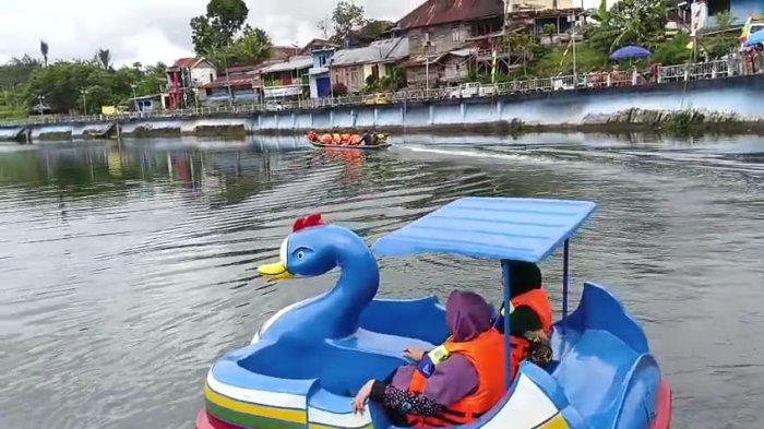 Ayam arab di Curup Utara, Rejang Lebong