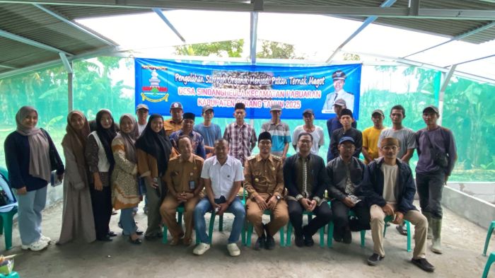 Pemerintah Desa Sindangheula Gelar Pelatihan Pengolahan Sampah Organik ... Ternak maggot di Karang Tinggi, Bengkulu Tengah