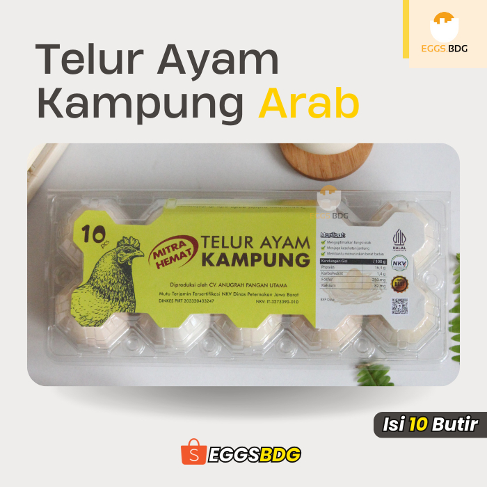 Informasi Lengkap Mengenai Ayam Arab - HOBI TERNAK Ayam arab di Talang Padang, Tanggamus