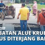 Ternak jangkrik di Peusangan Siblah Krueng, Bireuen