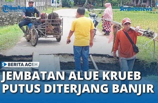Ternak jangkrik di Peusangan Siblah Krueng, Bireuen