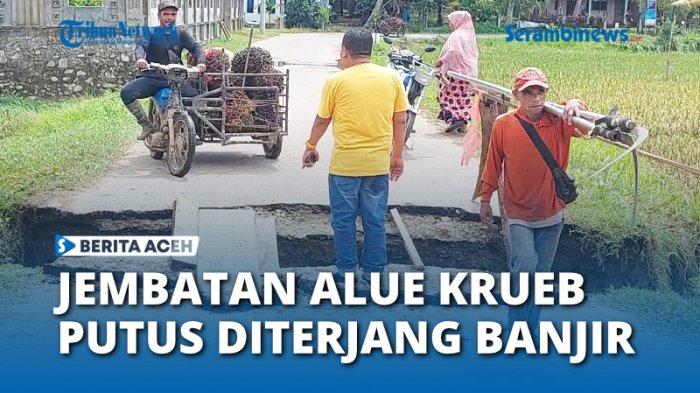 Ternak jangkrik di Peusangan Siblah Krueng, Bireuen
