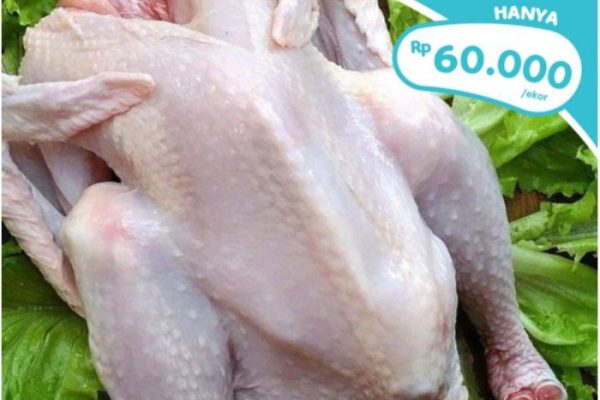 Harga ayam kampung di Simpang Tiga Aceh Besar