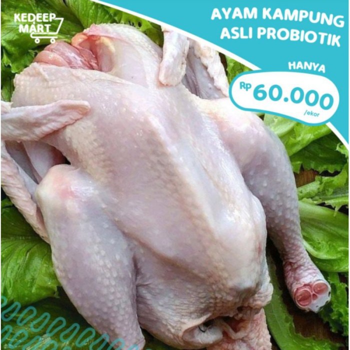 HARGA AYAM KAMPUNG DI PASAR AYAM - YouTube Harga ayam kampung di Simpang Tiga Aceh Besar