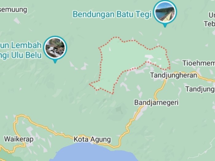 Mengembangkan Usaha Ternak Ayam Arab: Panduan Untuk Pemula (Part 2 ... Mengembangkan Usaha Ternak Ayam Arab: Panduan Untuk Pemula (Part 2 ...