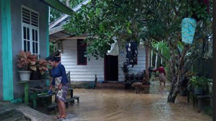 Krueng Sabee dan Krueng Panga Meluap, Empat Desa di Aceh Jaya Dilanda ... Ternak jangkrik di Krueng Sabee, Aceh Jaya