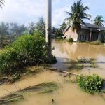 Ternak jangkrik di Simpang Mamplam Bireuen